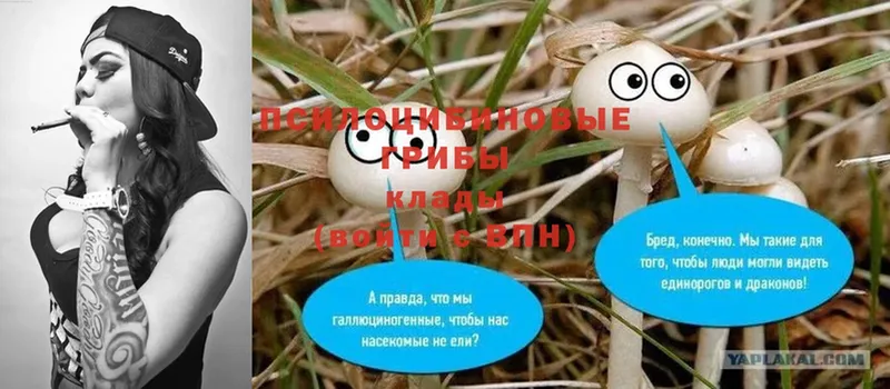 Галлюциногенные грибы Magic Shrooms  цены   Верхнеуральск 